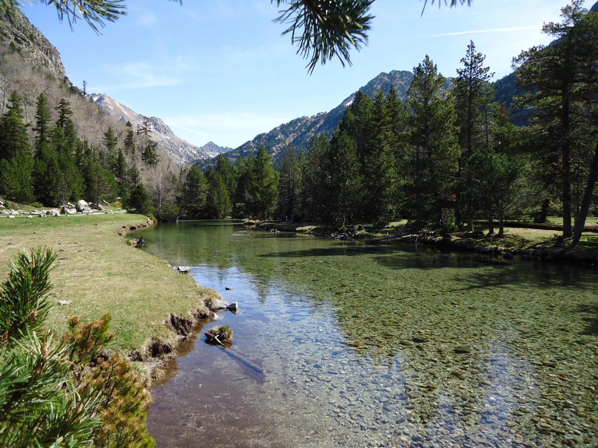 Apartaments La Llucana Barruera Buitenkant foto